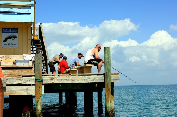 Tampa, FL