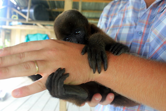 Visiting the Boat Farm in Iquitos Peru