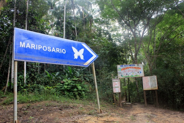 Pilpintuwasi, Iquitos, Peru