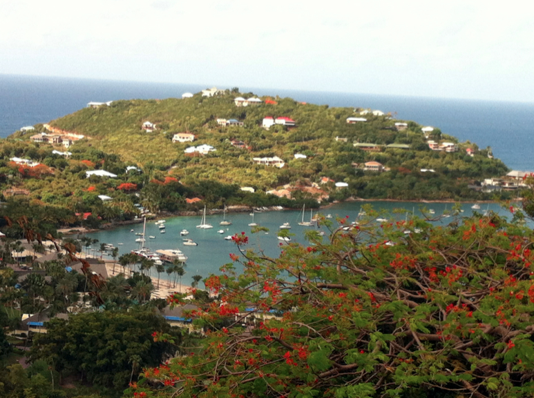USVI Tips for First Time Visitors to St. John The Wanderlust Effect