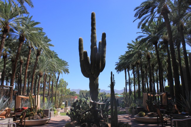 Layover in Phoenix, AZ