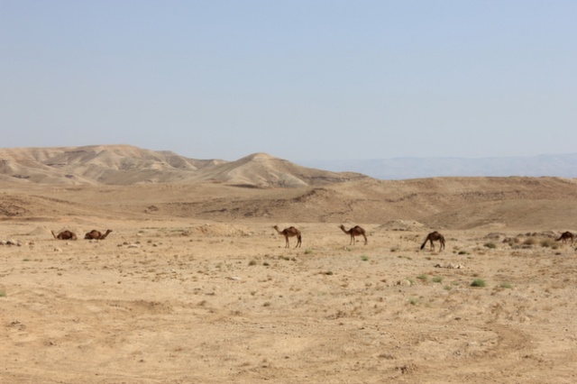 West Bank, Palestine