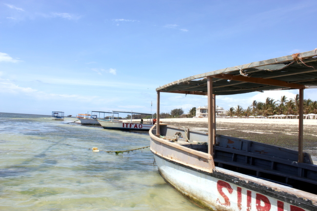 Indian Ocean Snorkeling, Bucket List Experiences