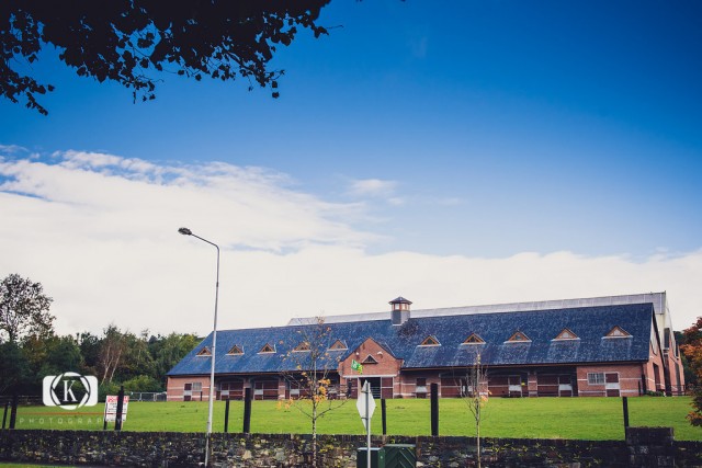 Horseback Riding, Killarney National PArk