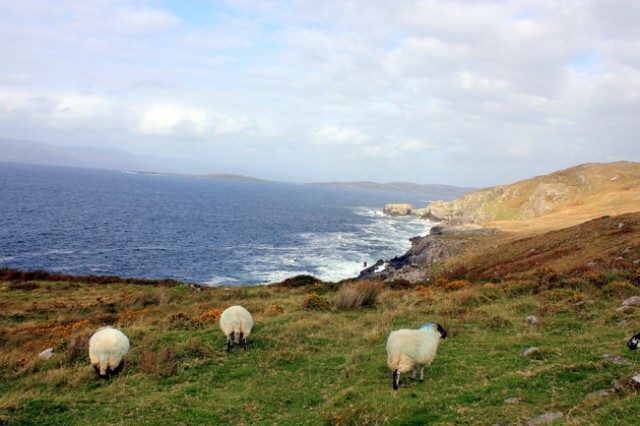 Ring of Beara, Ireland