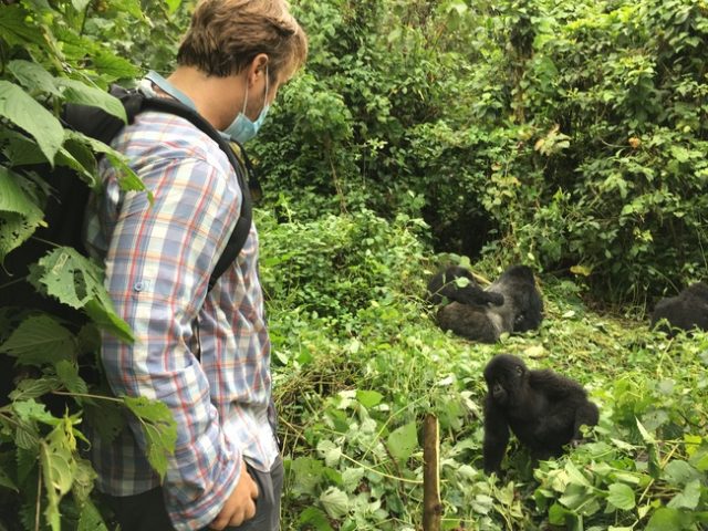 Gorilla Trekking in Africa, Virunga National Park