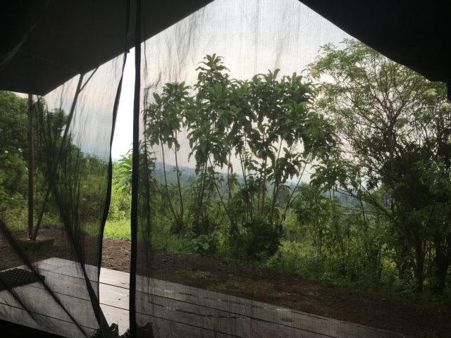 Traveling to Virunga National Park - Bukima Tented Camp, DRC