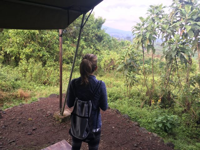 Bukima Tented Camp, DRC