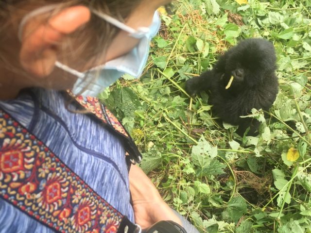 Gorilla Trekking in Africa, Virunga National Park