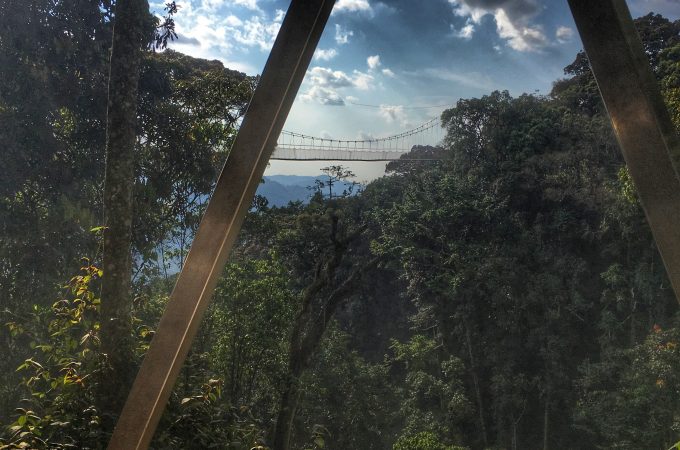 Nyungwe Forest Canopy Walkway Tour