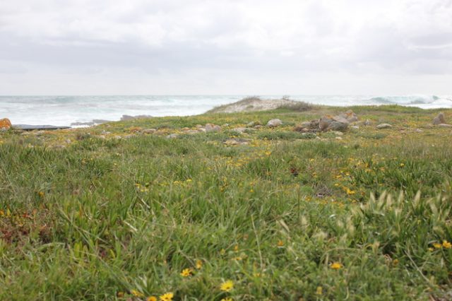 Cape of Good Hope, South Africa