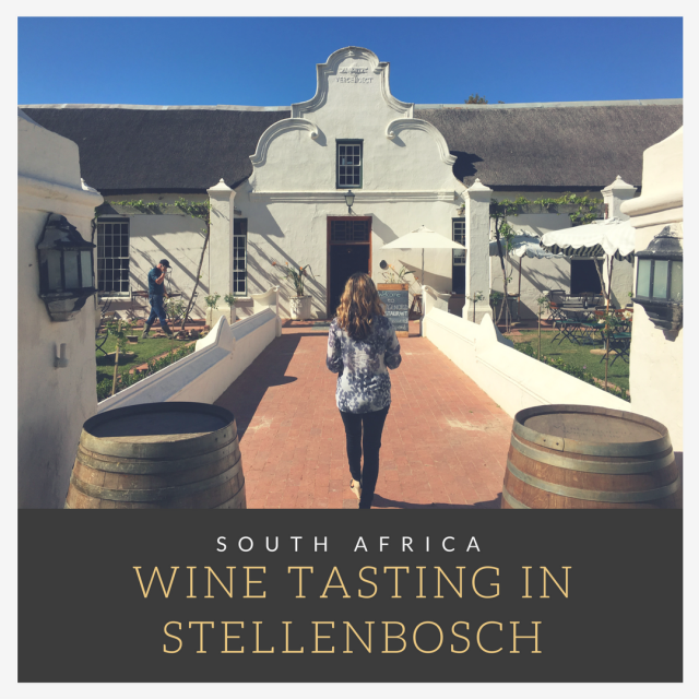 Wine Tasting in Stellenbosch, South Africa
