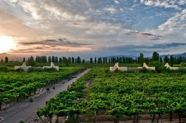 Cavas Wine Lodge, Mendoza, Argentina