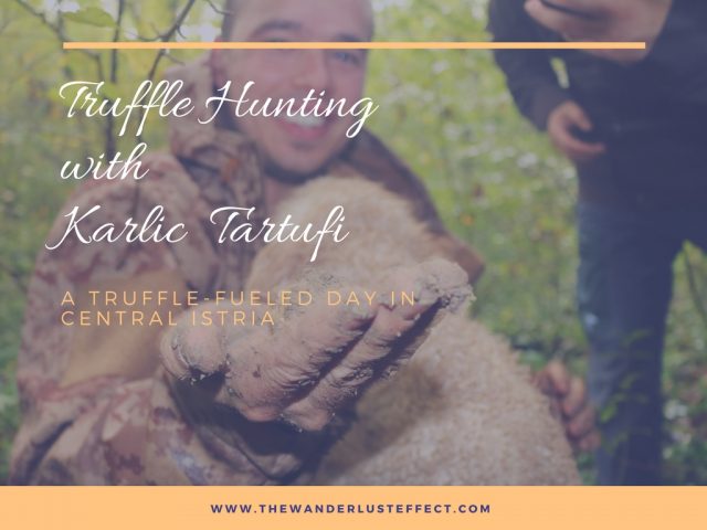 Truffle Hunting with Karlic Tartufi