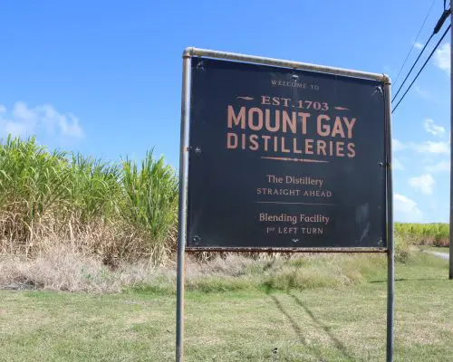 Visiting the Mount Gay Distillery, Barbados