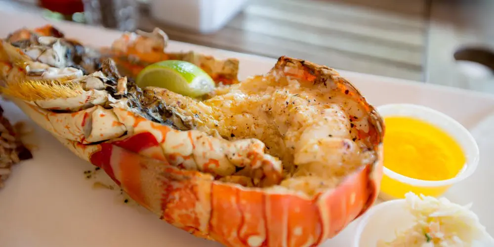 7 Things to Do in Anegada The Wanderlust Effect