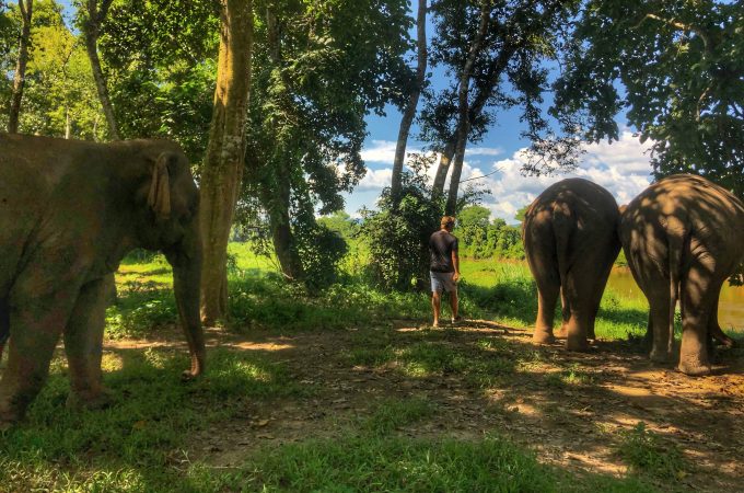 Anantara Golden Triangle Walking with Giants