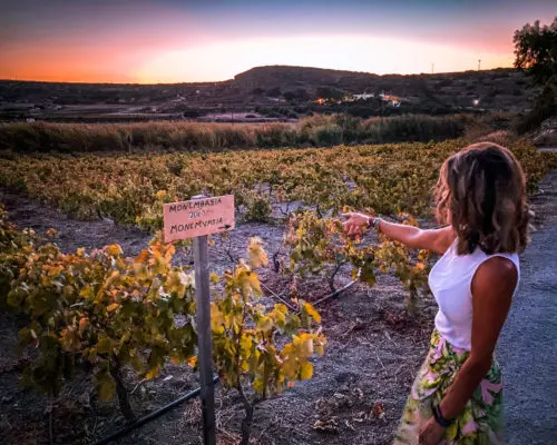 Kostatakis Winery, Wine Tasting in the Cyclades
