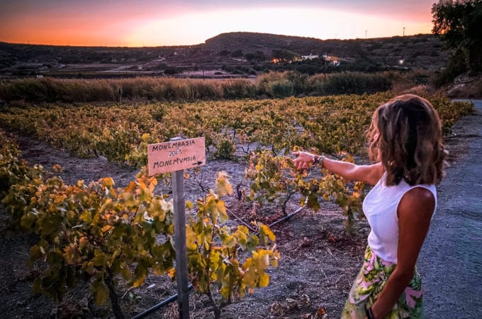 Kostatakis Winery, Wine Tasting in the Cyclades
