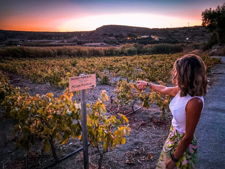 Kostatakis Winery, Wine Tasting in the Cyclades