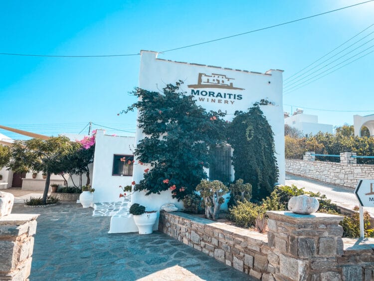 Moraitis, Wine Tasting in the Cyclades