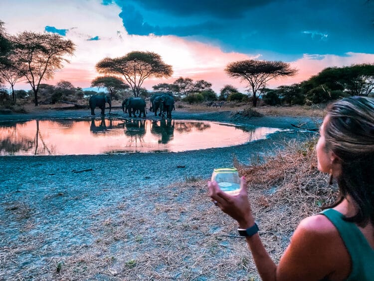 Tips for Planning an African Safari