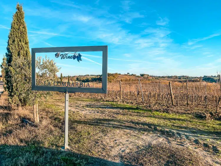 best montepulciano wineries to visit Wineries to Visit in Montepulciano