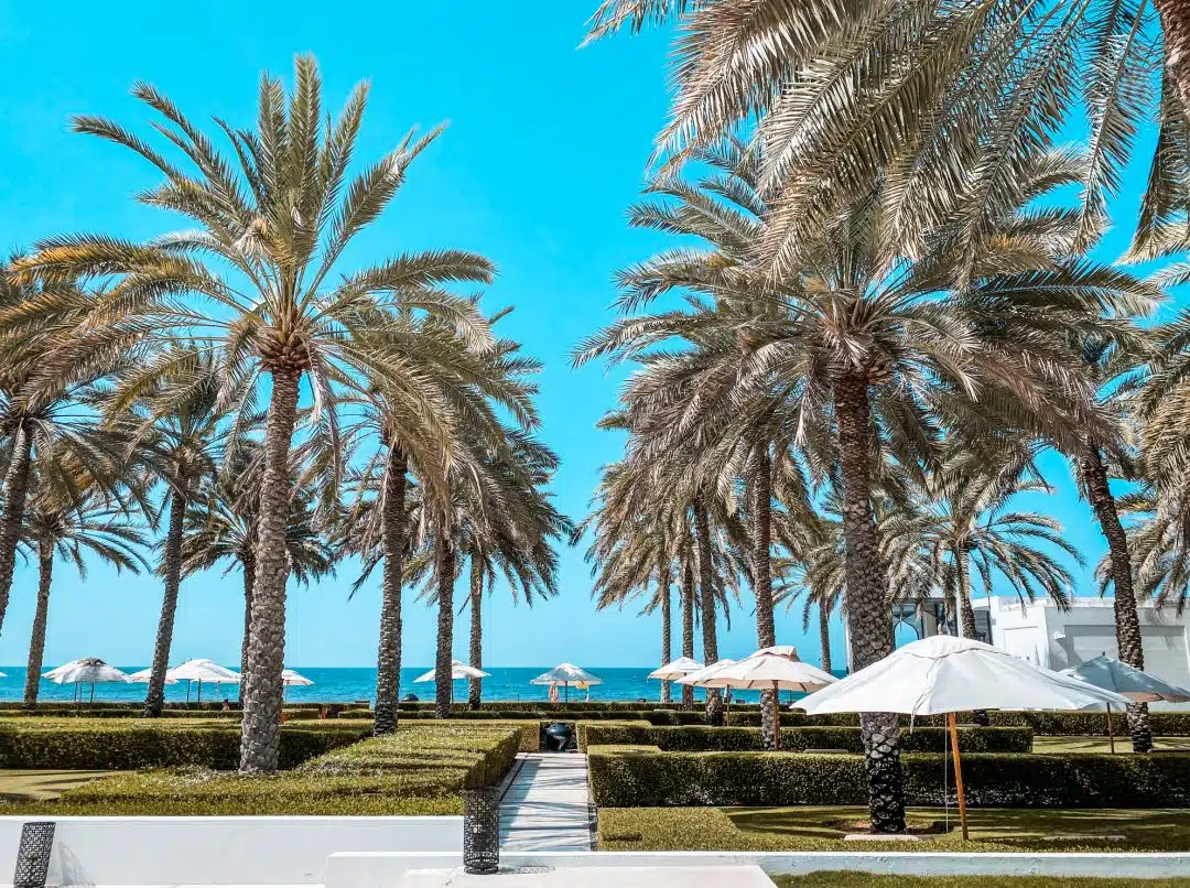 Three days in Muscat