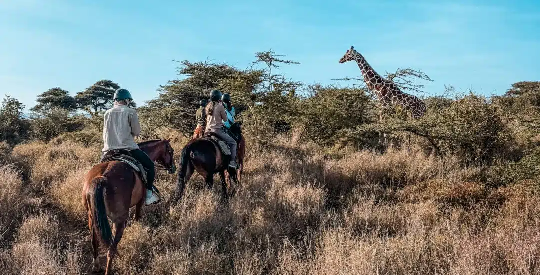 kenya rwanda safari itinerary
